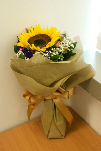 sunflower