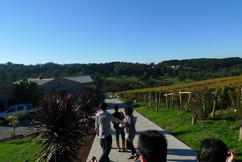 P1030020