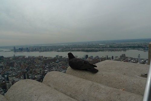 P1030244